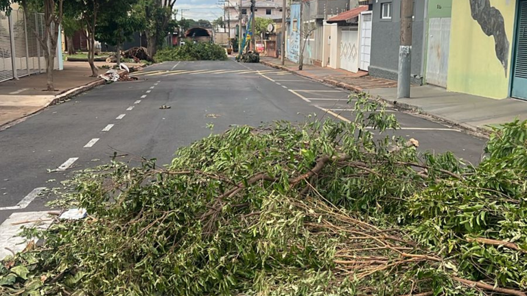 Após temporal, Assis segue com trechos bloqueados e equipes trabalham na limpeza das vias