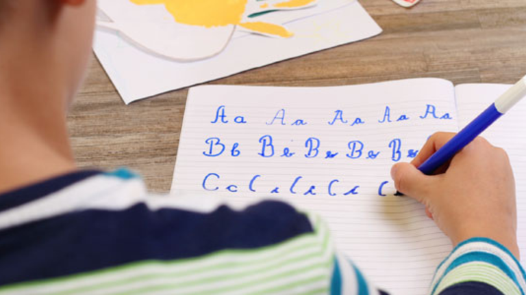 Aprovação da proposta reforça o compromisso do Legislativo assisense com a construção de um ambiente educacional mais inclusivo, respeitoso e sensível às necessidades dos estudantes