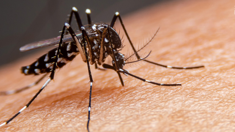 Iniciativa busca fortalecer políticas públicas de Saúde e ampliar a mobilização da sociedade no enfrentamento ao mosquito Aedes aegypti