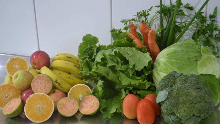 Câmara aprova requerimento que questiona presença de frutas, legumes e verduras na merenda escolar