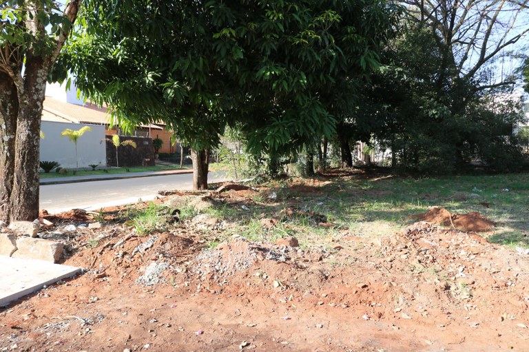 Câmara inicia revitalização de terreno ao lado de seu prédio Câmara inicia revitalização de terreno ao lado de seu prédio