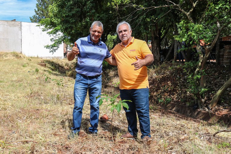 Câmara Municipal realiza plantio de árvores Câmara Municipal realiza plantio de árvores