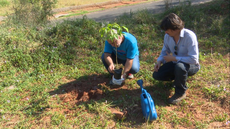 Câmara Municipal realiza plantio de árvores