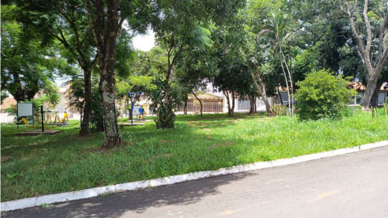 Entre as principais reivindicações apresentadas pelos moradores; limpeza periódica da área, roçada do mato e poda das árvores, melhoria no sistema de iluminação pública e a instalação de um parquinho infantil