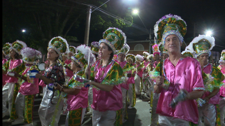 Carnaval de Assis atraí grande público no desfile das escolas de samba
