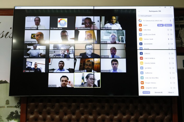 Confira o Resumo da 9ª Sessão Ordinária realizada via Videoconferência Confira o Resumo da 9ª Sessão Ordinária realizada via Videoconferência