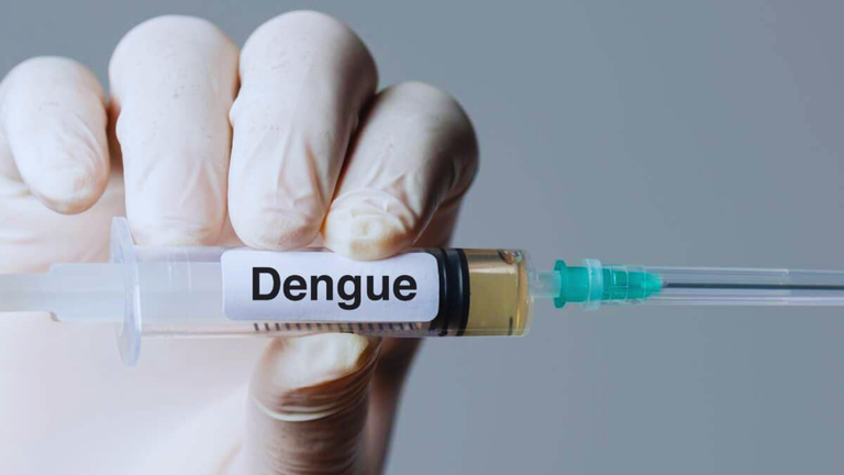 Dengue: atualização epidemiológica de Assis