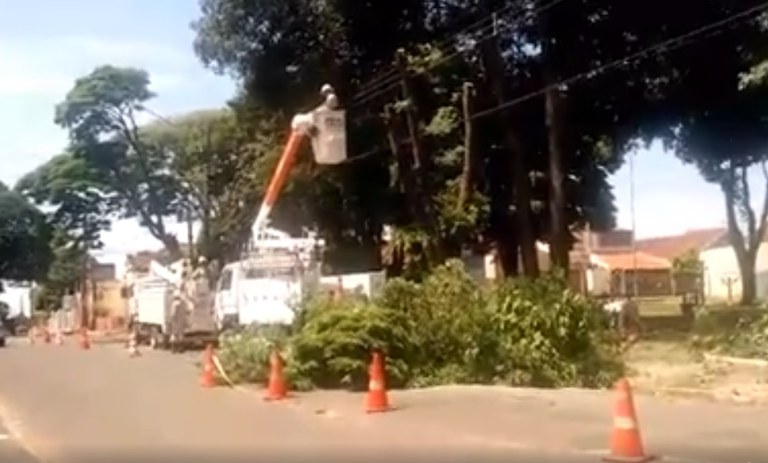 Energisa realiza poda radical de árvore na Concha Acústica sem autorização Energisa realiza poda radical de árvore na Concha Acústica sem autorização