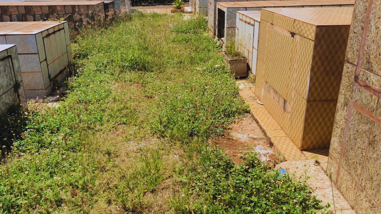 Indicação cobra manutenção e limpeza no Cemitério Municipal de Assis