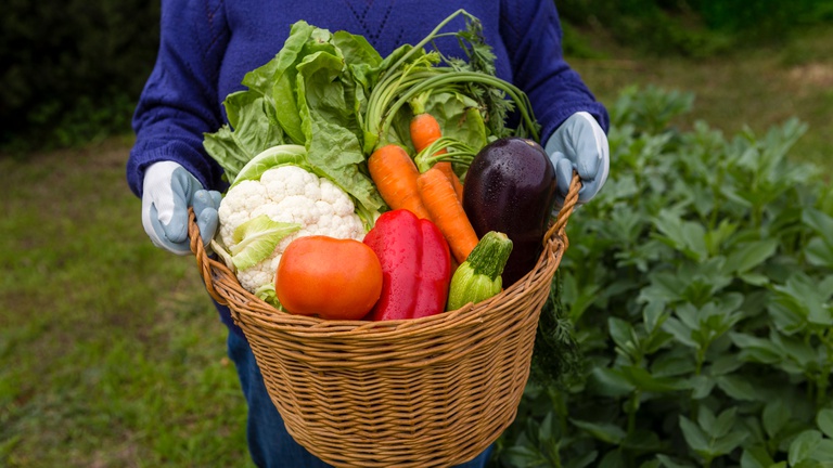 Legislativo aponta necessidade de reativação de programas de alimentação e a valorização da agricultura familiar