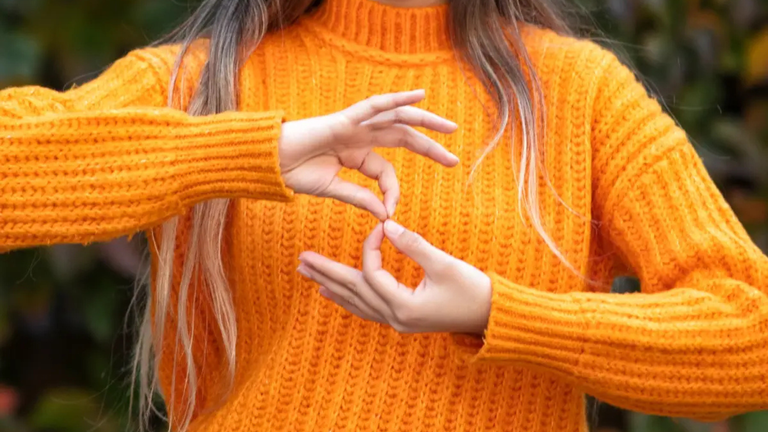 Requerimento destaca a importância da capacitação para garantir atendimento mais inclusivo, especialmente às pessoas com deficiência auditiva