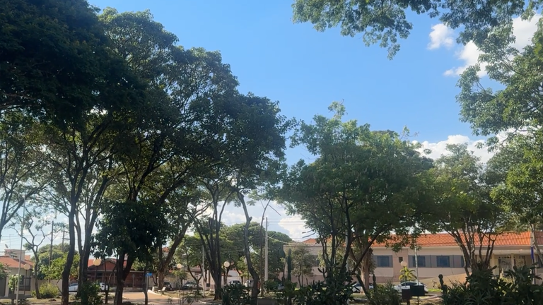 Legislativo solicita vistorias em árvores na Praça da Bíblia, Vila Santa Cecília e na Praça José Dantas, na Avenida Dom Antônio