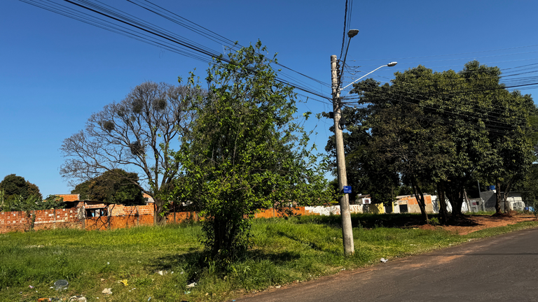 Moradores sonham com revitalização de área pública no bairro Maria Isabel