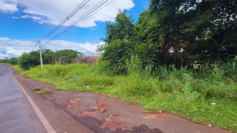 Entre as situações observadas está o mato alto às margens da via