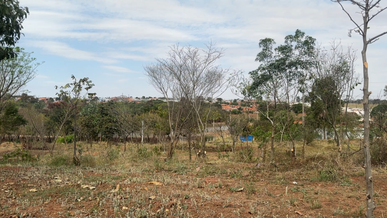 Mutirão de limpeza e projetos futuros visam melhorar área entre o Eldorado e Parque Colinas