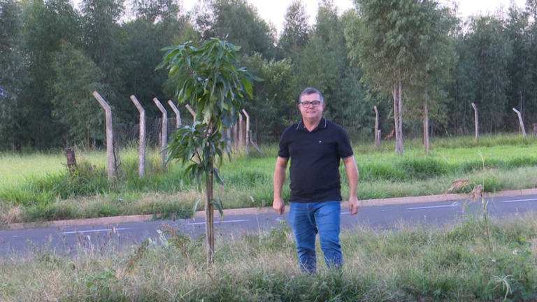 Parque das Acácias: população reclama de mato alto e defende árvores frutíferas Parque das Acácias: população reclama de mato alto e defende árvores frutíferas