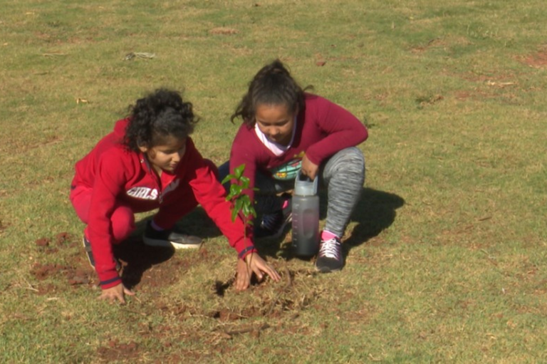 Parque das Águas recebe ações de arborização com apoio de estudantes