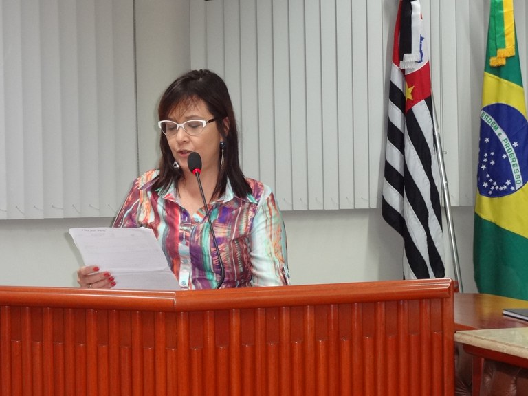 Professora Dedé apresenta a Rede de Proteção às Crianças e Adolescentes com Deficiência Professora Dedé apresenta a Rede de Proteção às Crianças e Adolescentes com Deficiência