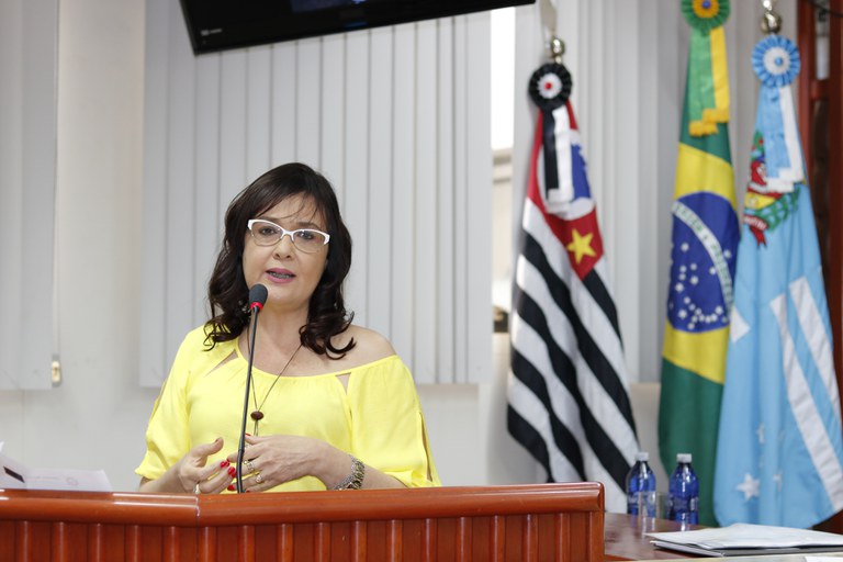 Professora Dedé solicita construção de passeio público na Av. Davi Passarinho Professora Dedé solicita construção de passeio público na Av. Davi Passarinho
