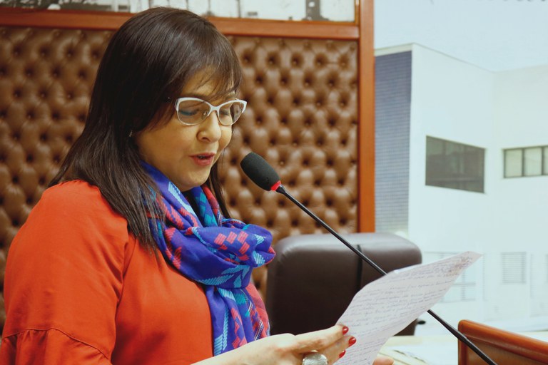 Professora Dedé solicita sinalização em ruas no Jardim Paraná Professora Dedé solicita sinalização em ruas no Jardim Paraná