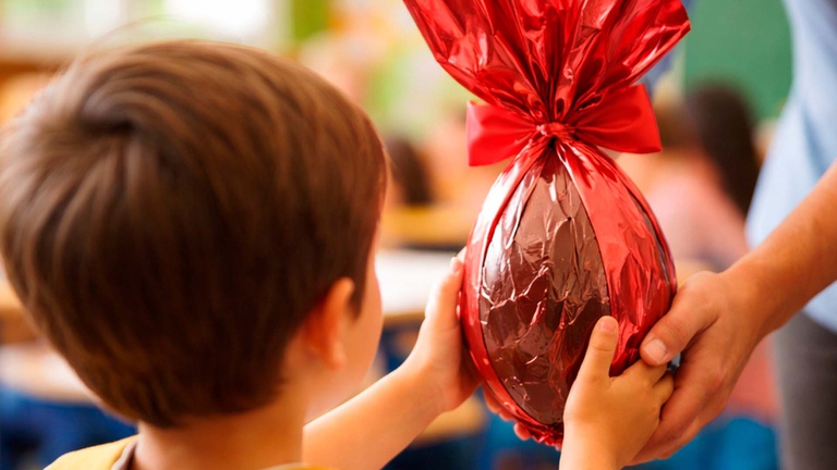 Documento prevê estudo de viabilidade para atender alunos da rede pública durante as comemorações no município