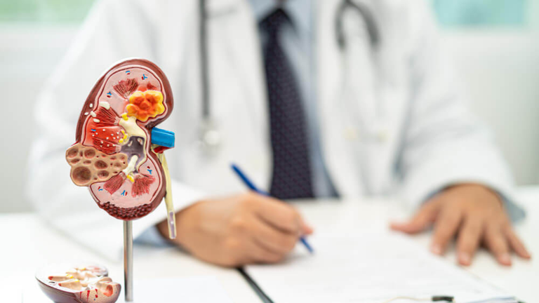 Requerimento solicita informações sobre atendimento nefrológico e espera por tratamento ambulatorial em Assis