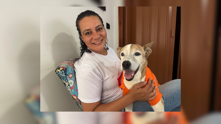 SOS Pets: 11 anos de amor pelos animais e cuidado com a comunidade SOS Pets: 11 anos de amor pelos animais e cuidado com a comunidade