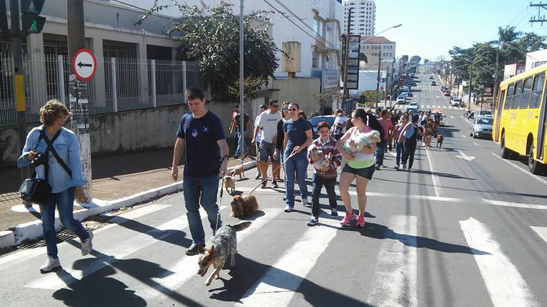 Vereador Cachorrão participa de passeata em favor dos animais Vereador Cachorrão participa de passeata em favor dos animais