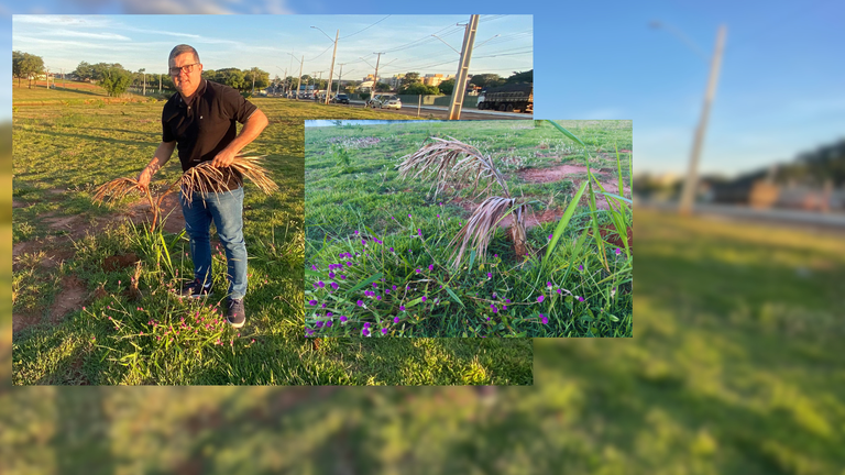 Vereador fiscaliza Parque das Águas e afirma: "Não está tendo cuidado" Vereador fiscaliza Parque das Águas e afirma: "Não está tendo cuidado"